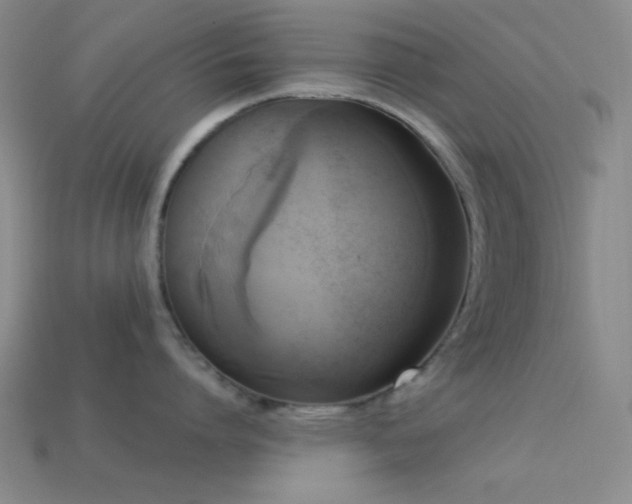 X0000113340864200909151130