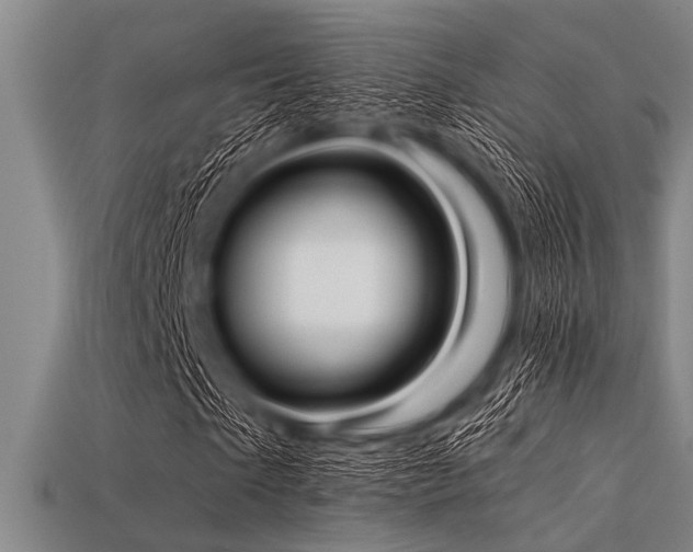 X0000113340865200909151129