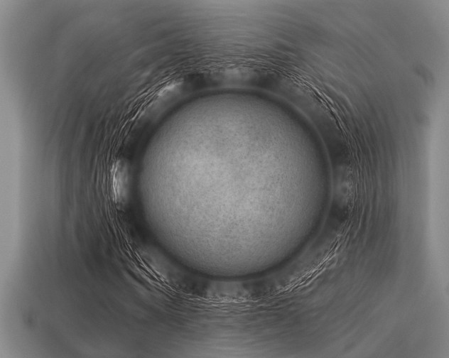 X0000113340866200909151129
