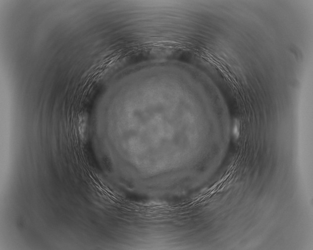 X0000113340867200909151129