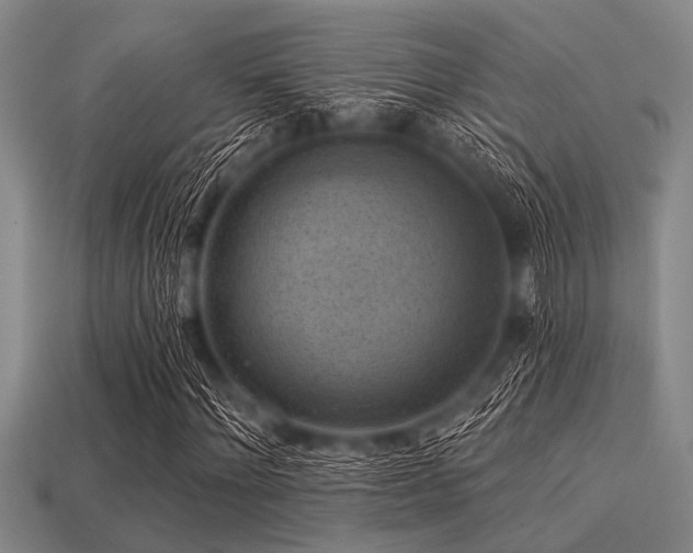 X0000113340868200909151129