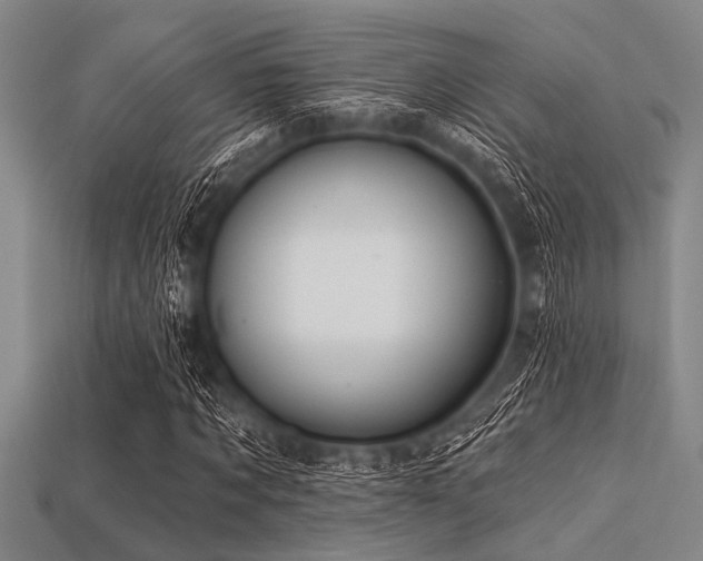 X0000113340869200909151129
