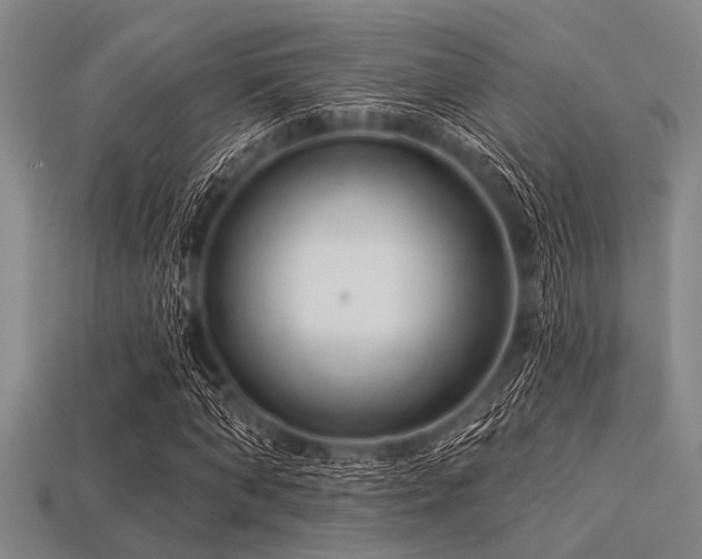 X0000113340870200909151129