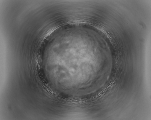 X0000113340871200909151129