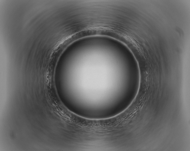 X0000113340872200909151129