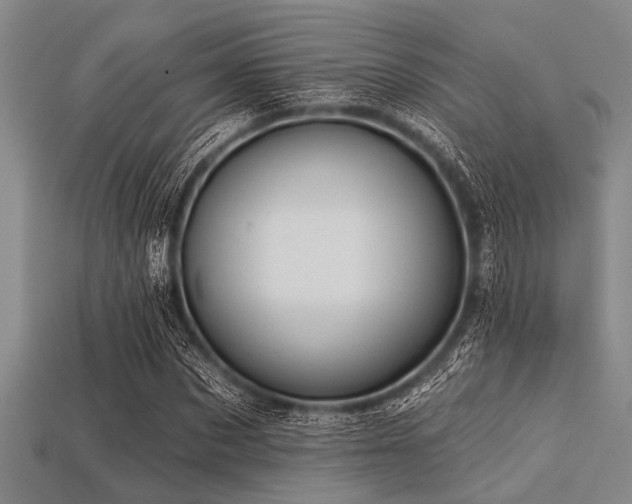 X0000113340873200909151129