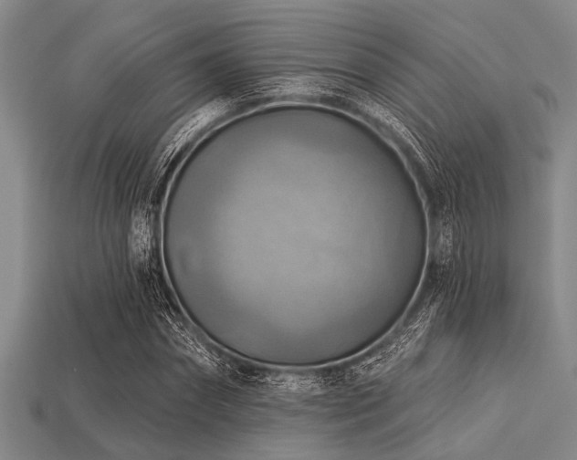 X0000113340874200909151129