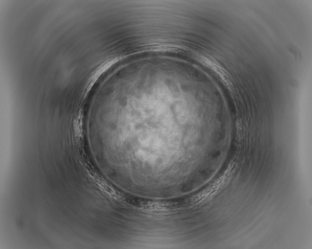 X0000113340875200909151129