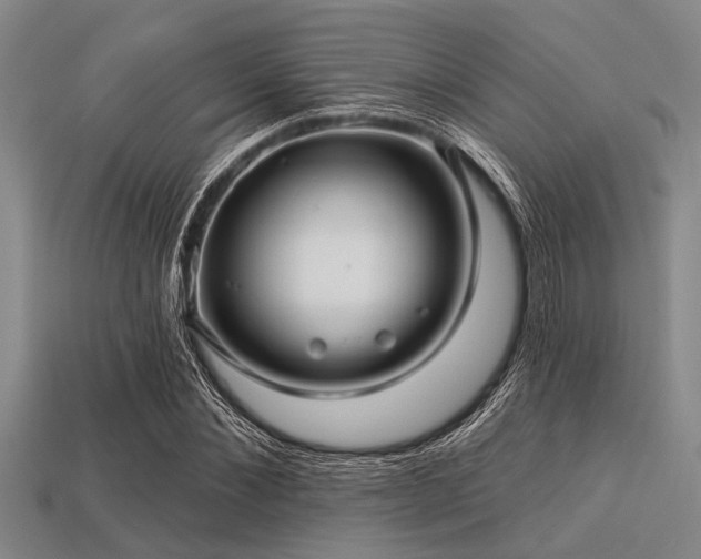 X0000113340876200909151129