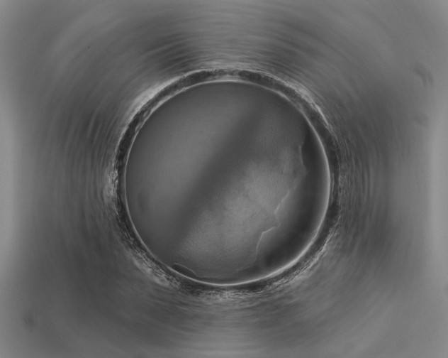 X0000113340879200909151129