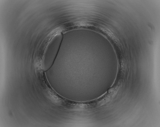 X0000113340881200909151129