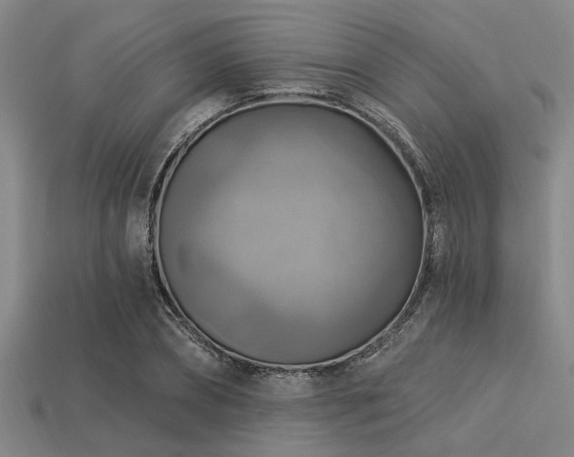 X0000113340882200909151129