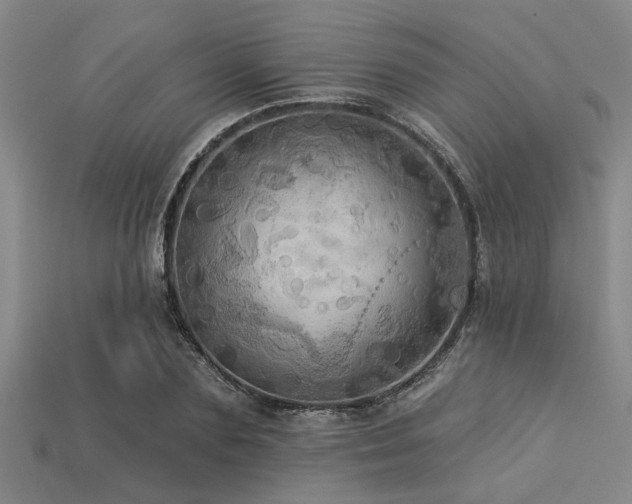 X0000113340883200909151129