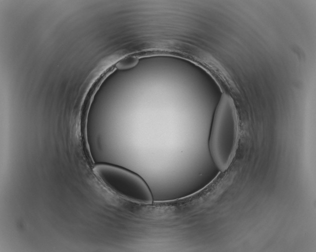 X0000113340884200909151129