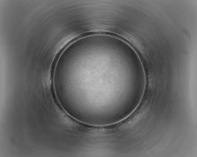 X0000113340885200909151129