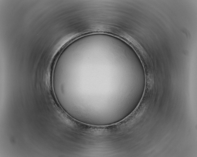 X0000113340886200909151129
