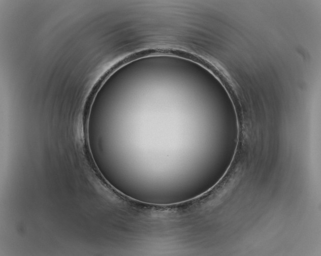 X0000113340887200909151129
