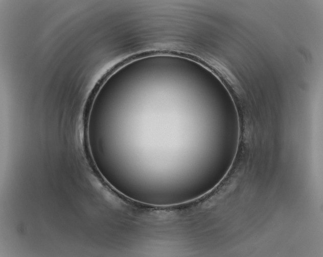 X0000113340888200909151129