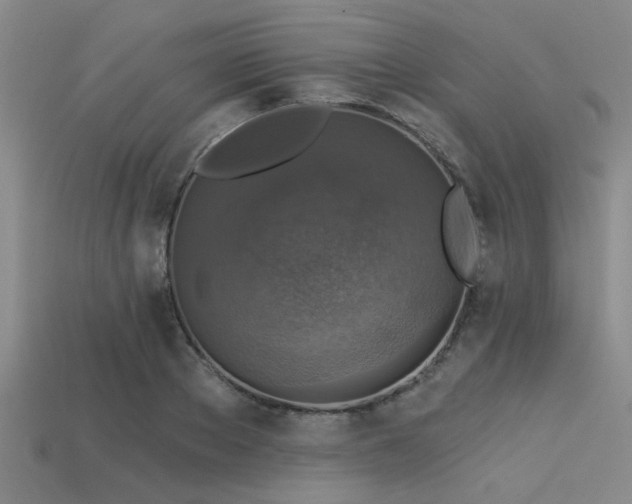 X0000113340889200909151129