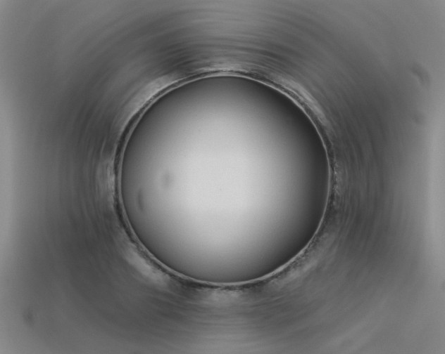 X0000113340890200909151129