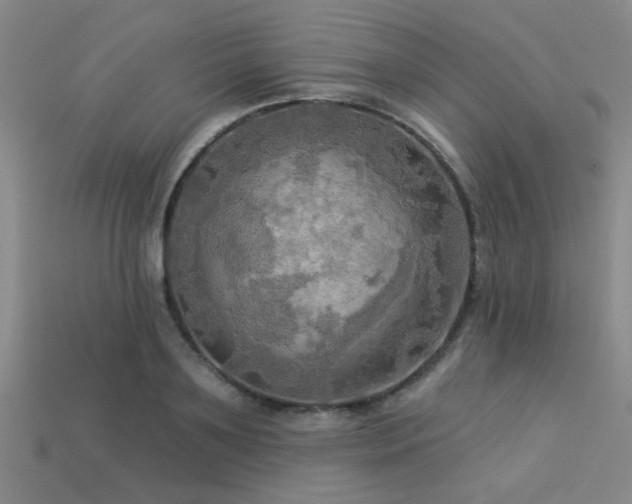 X0000113340891200909151129