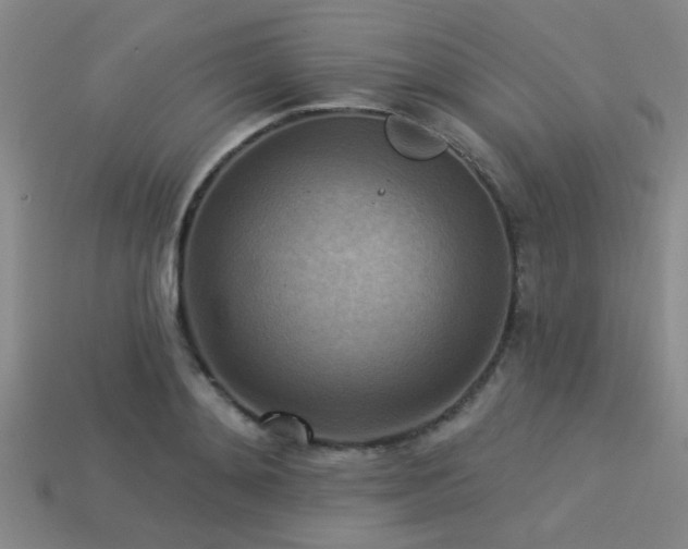 X0000113340892200909151129