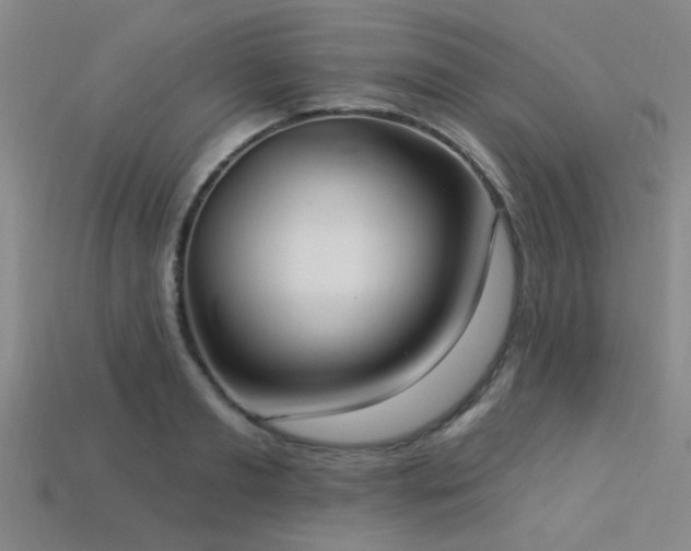 X0000113340893200909151129