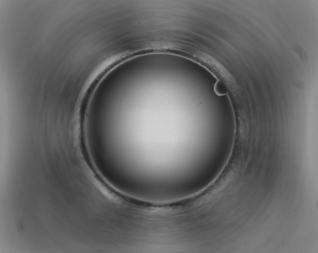 X0000113340894200909151129