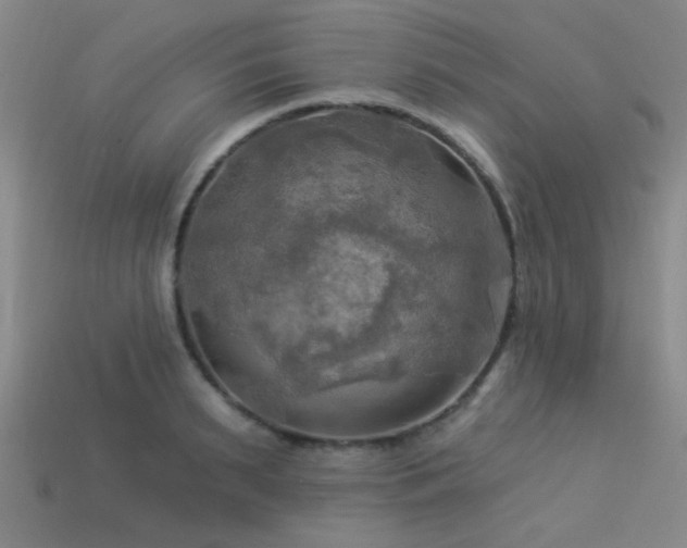 X0000113340895200909151129