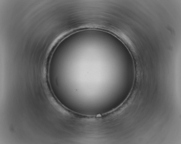 X0000113340896200909151129