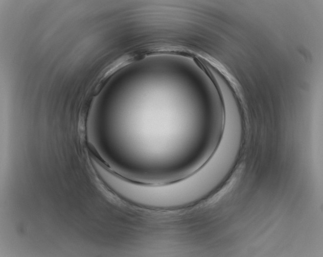 X0000113340897200909151129