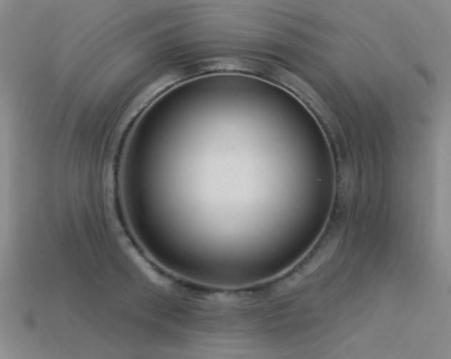 X0000113340898200909151129