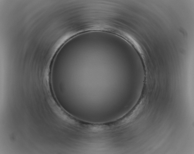 X0000113340899200909151129