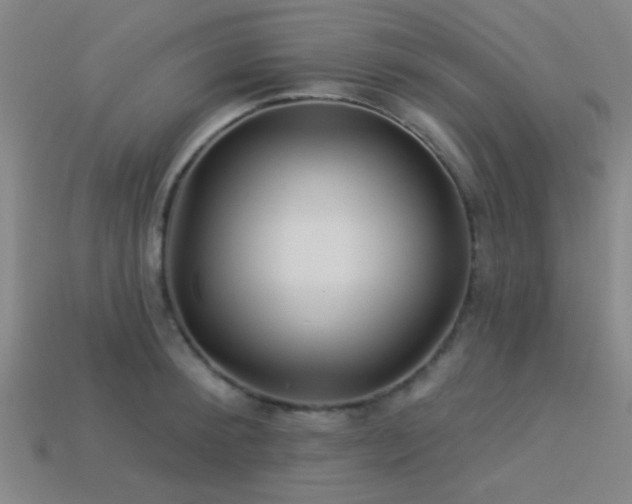 X0000113340900200909151129