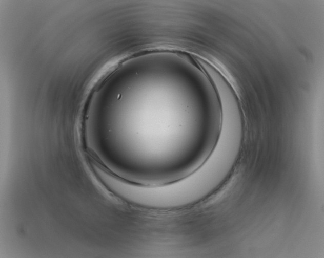 X0000113340901200909151129