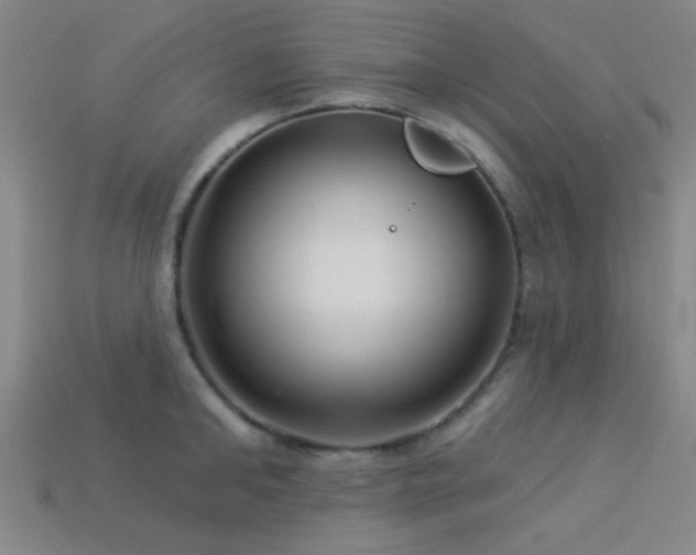 X0000113340902200909151129