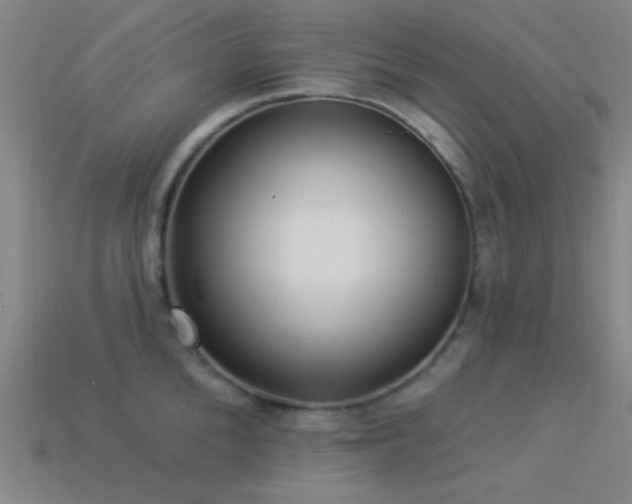 X0000113340904200909151129
