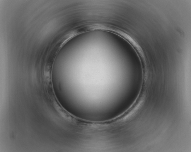 X0000113340905200909151129