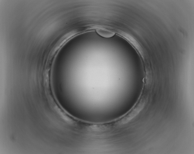 X0000113340906200909151129