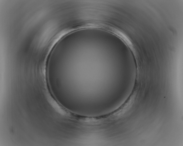 X0000113340907200909151129