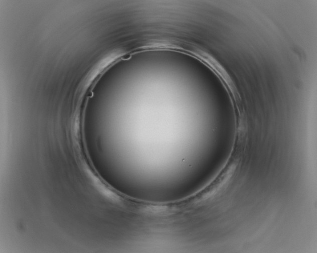 X0000113340909200909151129