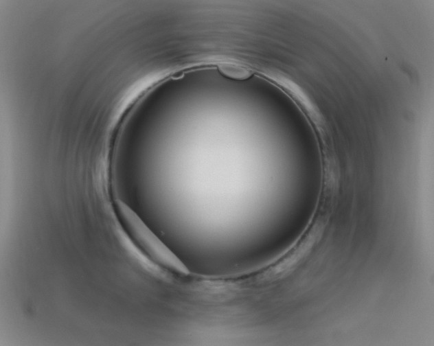 X0000113340910200909151129