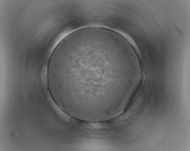 X0000113340911200909151128