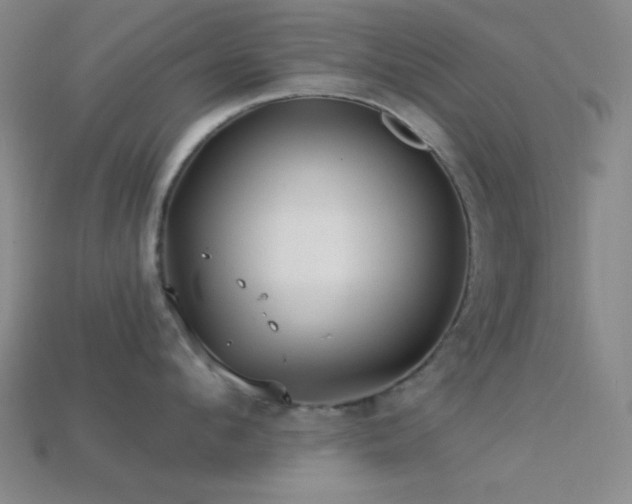 X0000113340912200909151128
