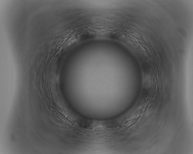 X0000113340913200909151128