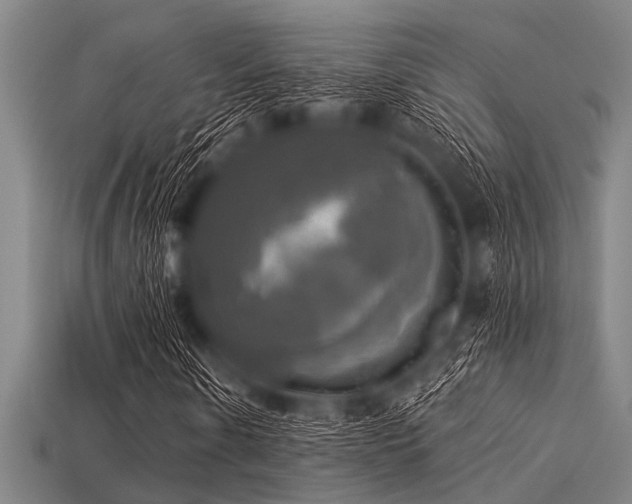 X0000113340914200909151128