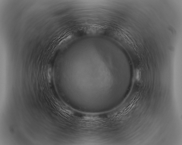 X0000113340915200909151128