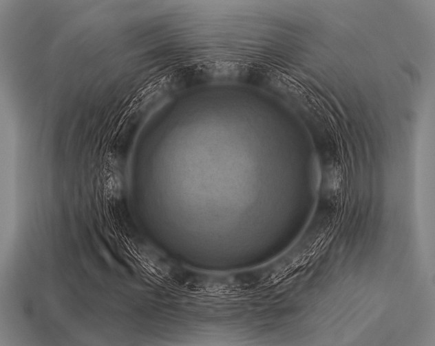 X0000113340916200909151128