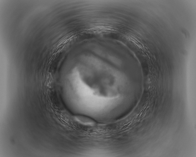 X0000113340917200909151128