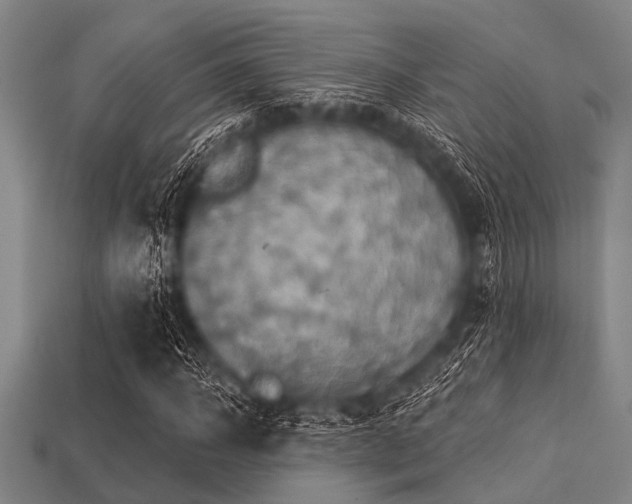 X0000113340918200909151128